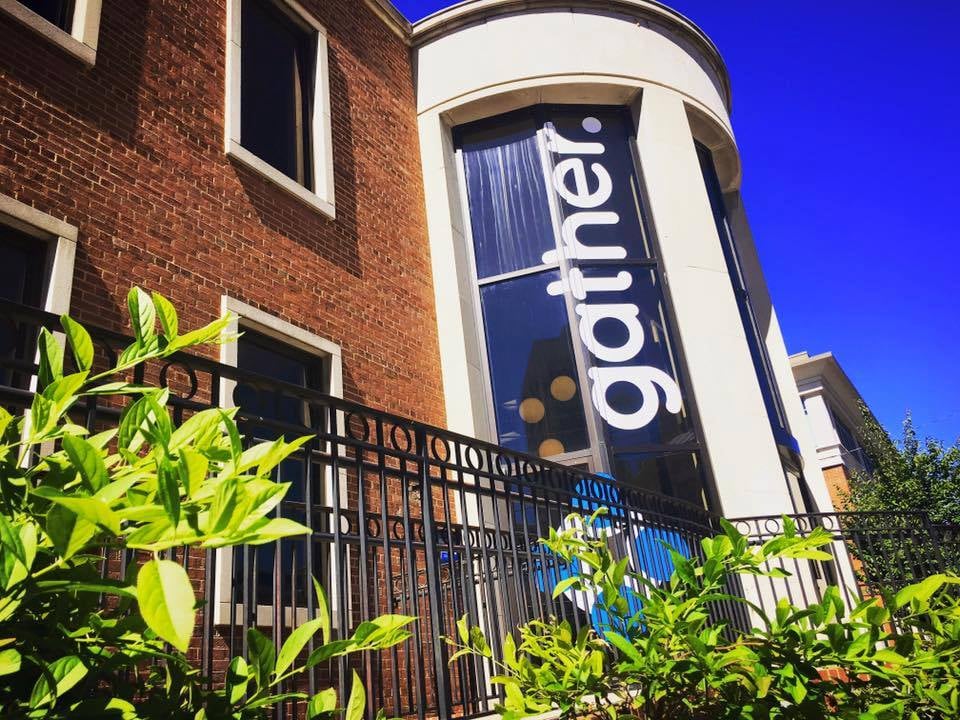 Image may contain: plant and outdoor